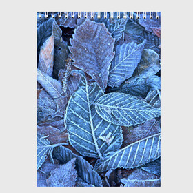 Скетчбук Застывшие листья: в Курске, 100% бумага
 | 48 листов, плотность листов — 100 г/м2, плотность картонной обложки — 250 г/м2. Листы скреплены сверху удобной пружинной спиралью | иней | мороз | осень | холод