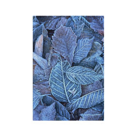 Обложка для паспорта матовая кожа с принтом Застывшие листья в Курске, натуральная матовая кожа | размер 19,3 х 13,7 см; прозрачные пластиковые крепления | Тематика изображения на принте: иней | мороз | осень | холод
