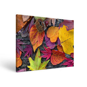 Холст прямоугольный с принтом Дары осени в Курске, 100% ПВХ |  | жёлтый | золотой | красный | листва | листья | наряд | осень