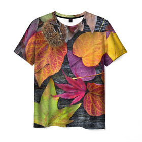 Мужская футболка 3D с принтом Дары осени в Курске, 100% полиэфир | прямой крой, круглый вырез горловины, длина до линии бедер | жёлтый | золотой | красный | листва | листья | наряд | осень