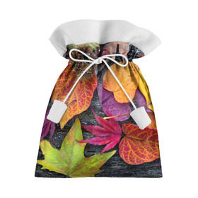 Подарочный 3D мешок с принтом Дары осени в Курске, 100% полиэстер | Размер: 29*39 см | жёлтый | золотой | красный | листва | листья | наряд | осень
