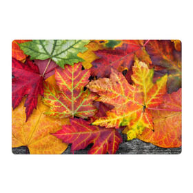 Магнитный плакат 3Х2 с принтом Осенняя пора в Курске, Полимерный материал с магнитным слоем | 6 деталей размером 9*9 см | жёлтый | красный | листва | листья | осень