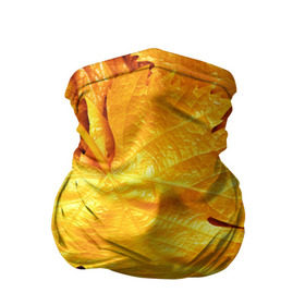 Бандана-труба 3D с принтом Золотая осень в Курске, 100% полиэстер, ткань с особыми свойствами — Activecool | плотность 150‒180 г/м2; хорошо тянется, но сохраняет форму | жёлтый | золотой | клён | красота | листва | листья | наряд | осень | осина | покров | природа
