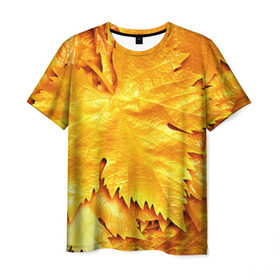 Мужская футболка 3D с принтом Золотая осень в Курске, 100% полиэфир | прямой крой, круглый вырез горловины, длина до линии бедер | Тематика изображения на принте: жёлтый | золотой | клён | красота | листва | листья | наряд | осень | осина | покров | природа