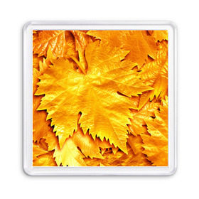 Магнит 55*55 с принтом Золотая осень в Курске, Пластик | Размер: 65*65 мм; Размер печати: 55*55 мм | жёлтый | золотой | клён | красота | листва | листья | наряд | осень | осина | покров | природа