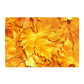 Магнитный плакат 3Х2 с принтом Золотая осень в Курске, Полимерный материал с магнитным слоем | 6 деталей размером 9*9 см | жёлтый | золотой | клён | красота | листва | листья | наряд | осень | осина | покров | природа