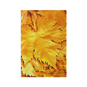 Обложка для паспорта матовая кожа с принтом Золотая осень в Курске, натуральная матовая кожа | размер 19,3 х 13,7 см; прозрачные пластиковые крепления | жёлтый | золотой | клён | красота | листва | листья | наряд | осень | осина | покров | природа