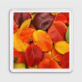 Магнит 55*55 с принтом Осенний покров в Курске, Пластик | Размер: 65*65 мм; Размер печати: 55*55 мм | жёлтый | золотой | красный | листва | листья | осень