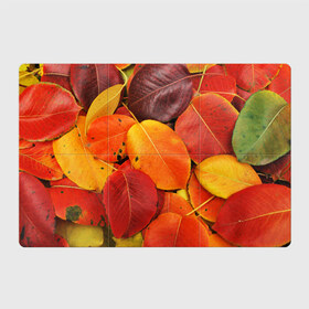 Магнитный плакат 3Х2 с принтом Осенний покров в Курске, Полимерный материал с магнитным слоем | 6 деталей размером 9*9 см | жёлтый | золотой | красный | листва | листья | осень