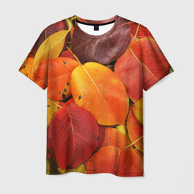 Мужская футболка 3D с принтом Осенний покров в Курске, 100% полиэфир | прямой крой, круглый вырез горловины, длина до линии бедер | жёлтый | золотой | красный | листва | листья | осень