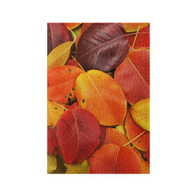 Обложка для паспорта матовая кожа с принтом Осенний покров в Курске, натуральная матовая кожа | размер 19,3 х 13,7 см; прозрачные пластиковые крепления | Тематика изображения на принте: жёлтый | золотой | красный | листва | листья | осень