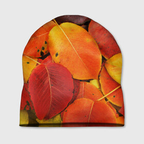 Шапка 3D с принтом Осенний покров в Курске, 100% полиэстер | универсальный размер, печать по всей поверхности изделия | жёлтый | золотой | красный | листва | листья | осень