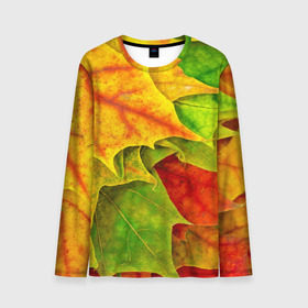 Мужской лонгслив 3D с принтом Осенний наряд в Курске, 100% полиэстер | длинные рукава, круглый вырез горловины, полуприлегающий силуэт | жёлтый | зелёный | красный | листва | листья | оранжевый
