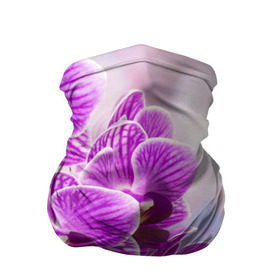 Бандана-труба 3D с принтом Божественная орхидея в Курске, 100% полиэстер, ткань с особыми свойствами — Activecool | плотность 150‒180 г/м2; хорошо тянется, но сохраняет форму | 8 марта | букет | весна | красота | куст | лето | орхидея | подарок | сиреневый цвет | цветок | шикарный цветочек