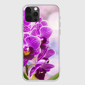 Чехол для iPhone 12 Pro Max с принтом Божественная орхидея в Курске, Силикон |  | 8 марта | букет | весна | красота | куст | лето | орхидея | подарок | сиреневый цвет | цветок | шикарный цветочек