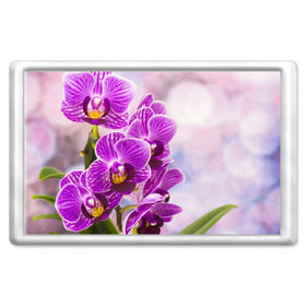 Магнит 45*70 с принтом Божественная орхидея в Курске, Пластик | Размер: 78*52 мм; Размер печати: 70*45 | Тематика изображения на принте: 8 марта | букет | весна | красота | куст | лето | орхидея | подарок | сиреневый цвет | цветок | шикарный цветочек