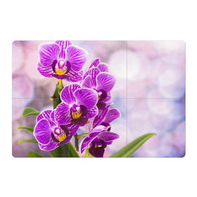 Магнитный плакат 3Х2 с принтом Божественная орхидея в Курске, Полимерный материал с магнитным слоем | 6 деталей размером 9*9 см | 8 марта | букет | весна | красота | куст | лето | орхидея | подарок | сиреневый цвет | цветок | шикарный цветочек
