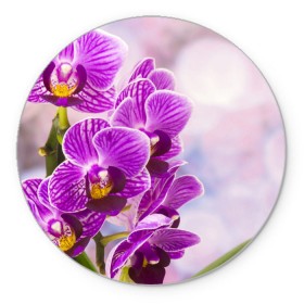 Коврик круглый с принтом Божественная орхидея в Курске, резина и полиэстер | круглая форма, изображение наносится на всю лицевую часть | 8 марта | букет | весна | красота | куст | лето | орхидея | подарок | сиреневый цвет | цветок | шикарный цветочек