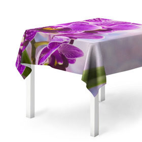 Скатерть 3D с принтом Божественная орхидея в Курске, 100% полиэстер (ткань не мнется и не растягивается) | Размер: 150*150 см | Тематика изображения на принте: 8 марта | букет | весна | красота | куст | лето | орхидея | подарок | сиреневый цвет | цветок | шикарный цветочек
