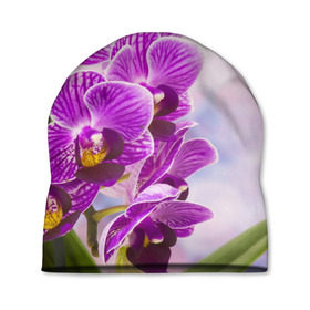 Шапка 3D с принтом Божественная орхидея в Курске, 100% полиэстер | универсальный размер, печать по всей поверхности изделия | Тематика изображения на принте: 8 марта | букет | весна | красота | куст | лето | орхидея | подарок | сиреневый цвет | цветок | шикарный цветочек