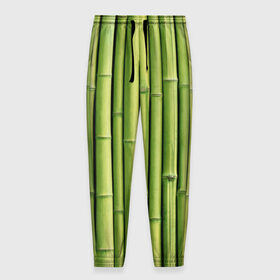Мужские брюки 3D с принтом Бамбук в Курске, 100% полиэстер | манжеты по низу, эластичный пояс регулируется шнурком, по бокам два кармана без застежек, внутренняя часть кармана из мелкой сетки | бамбук | дерево | джунгли | кустарник | надёжность | прочность | стена