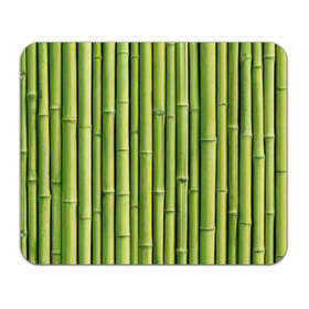 Коврик прямоугольный с принтом Бамбук в Курске, натуральный каучук | размер 230 х 185 мм; запечатка лицевой стороны | бамбук | дерево | джунгли | кустарник | надёжность | прочность | стена