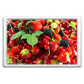 Магнит 45*70 с принтом Любимые ягоды в Курске, Пластик | Размер: 78*52 мм; Размер печати: 70*45 | вкусно | голубика | дача | деревня | ежевика | зелень | клубника | малина | огород | полезно | сад | смородина | сок | фрукты | черника | шиповник | ягоды