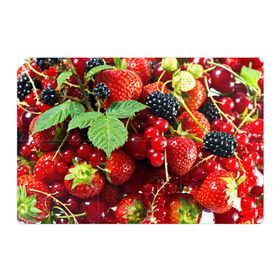 Магнитный плакат 3Х2 с принтом Любимые ягоды в Курске, Полимерный материал с магнитным слоем | 6 деталей размером 9*9 см | Тематика изображения на принте: вкусно | голубика | дача | деревня | ежевика | зелень | клубника | малина | огород | полезно | сад | смородина | сок | фрукты | черника | шиповник | ягоды