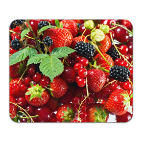 Коврик прямоугольный с принтом Любимые ягоды в Курске, натуральный каучук | размер 230 х 185 мм; запечатка лицевой стороны | вкусно | голубика | дача | деревня | ежевика | зелень | клубника | малина | огород | полезно | сад | смородина | сок | фрукты | черника | шиповник | ягоды