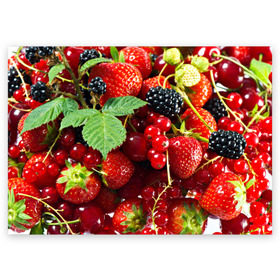 Поздравительная открытка с принтом Любимые ягоды в Курске, 100% бумага | плотность бумаги 280 г/м2, матовая, на обратной стороне линовка и место для марки
 | вкусно | голубика | дача | деревня | ежевика | зелень | клубника | малина | огород | полезно | сад | смородина | сок | фрукты | черника | шиповник | ягоды