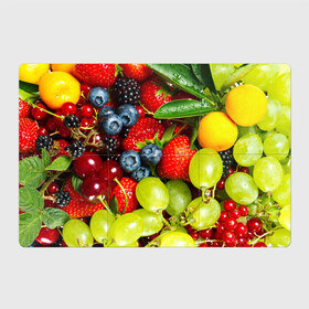 Магнитный плакат 3Х2 с принтом Вкусные ягоды в Курске, Полимерный материал с магнитным слоем | 6 деталей размером 9*9 см | Тематика изображения на принте: виноград | вкусно | голубика | дача | деревня | ежевика | клубника | малина | огород | полезно | рябина | сад | смородина | сок | фрукты | черника | ягоды