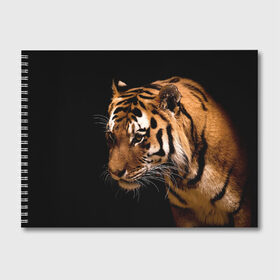 Альбом для рисования с принтом Тигр в Курске, 100% бумага
 | матовая бумага, плотность 200 мг. | полосы | хищник