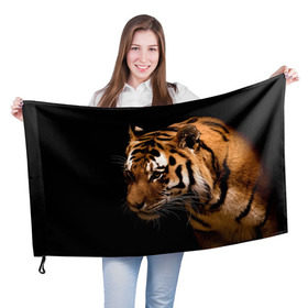 Флаг 3D с принтом Тигр в Курске, 100% полиэстер | плотность ткани — 95 г/м2, размер — 67 х 109 см. Принт наносится с одной стороны | полосы | хищник
