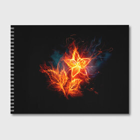 Альбом для рисования с принтом Огненный цветок в Курске, 100% бумага
 | матовая бумага, плотность 200 мг. | Тематика изображения на принте: звезда | искры | огненный цветок | огонь | пламя | пожар