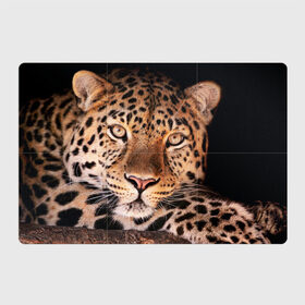 Магнитный плакат 3Х2 с принтом Леопард в Курске, Полимерный материал с магнитным слоем | 6 деталей размером 9*9 см | гепард | грация | дикая кошка | добыча | животные | леопард | ловкость | опасность | пятна | хищник | ягуар