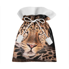 Подарочный 3D мешок с принтом Леопард в Курске, 100% полиэстер | Размер: 29*39 см | гепард | грация | дикая кошка | добыча | животные | леопард | ловкость | опасность | пятна | хищник | ягуар