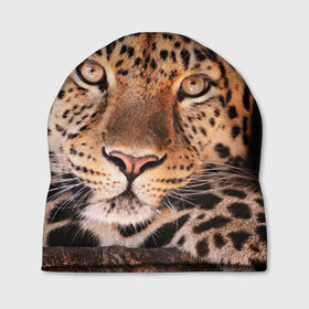 Шапка 3D с принтом Леопард в Курске, 100% полиэстер | универсальный размер, печать по всей поверхности изделия | гепард | грация | дикая кошка | добыча | животные | леопард | ловкость | опасность | пятна | хищник | ягуар