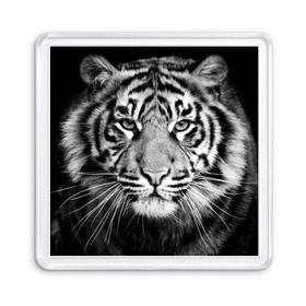 Магнит 55*55 с принтом Красавец тигр в Курске, Пластик | Размер: 65*65 мм; Размер печати: 55*55 мм | джунгли | дикая кошка | животные | зверь | король | кровь | мясо | опасность | охотник | тигр | хищник | царь | цирк