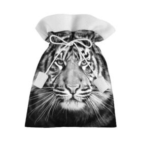 Подарочный 3D мешок с принтом Красавец тигр в Курске, 100% полиэстер | Размер: 29*39 см | джунгли | дикая кошка | животные | зверь | король | кровь | мясо | опасность | охотник | тигр | хищник | царь | цирк