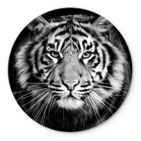 Коврик круглый с принтом Красавец тигр в Курске, резина и полиэстер | круглая форма, изображение наносится на всю лицевую часть | Тематика изображения на принте: джунгли | дикая кошка | животные | зверь | король | кровь | мясо | опасность | охотник | тигр | хищник | царь | цирк