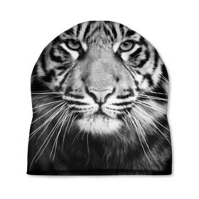 Шапка 3D с принтом Красавец тигр в Курске, 100% полиэстер | универсальный размер, печать по всей поверхности изделия | джунгли | дикая кошка | животные | зверь | король | кровь | мясо | опасность | охотник | тигр | хищник | царь | цирк