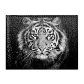 Обложка для студенческого билета с принтом Красавец тигр в Курске, натуральная кожа | Размер: 11*8 см; Печать на всей внешней стороне | джунгли | дикая кошка | животные | зверь | король | кровь | мясо | опасность | охотник | тигр | хищник | царь | цирк
