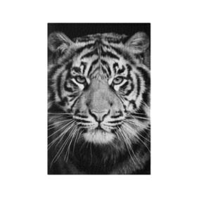 Обложка для паспорта матовая кожа с принтом Красавец тигр в Курске, натуральная матовая кожа | размер 19,3 х 13,7 см; прозрачные пластиковые крепления | джунгли | дикая кошка | животные | зверь | король | кровь | мясо | опасность | охотник | тигр | хищник | царь | цирк