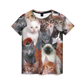 Женская футболка 3D с принтом Котики в Курске, 100% полиэфир ( синтетическое хлопкоподобное полотно) | прямой крой, круглый вырез горловины, длина до линии бедер | cat | cats | кот | котик | коты | котята