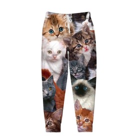 Мужские брюки 3D с принтом Котики в Курске, 100% полиэстер | манжеты по низу, эластичный пояс регулируется шнурком, по бокам два кармана без застежек, внутренняя часть кармана из мелкой сетки | cat | cats | кот | котик | коты | котята