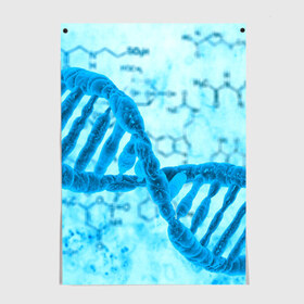 Постер с принтом ДНК в Курске, 100% бумага
 | бумага, плотность 150 мг. Матовая, но за счет высокого коэффициента гладкости имеет небольшой блеск и дает на свету блики, но в отличии от глянцевой бумаги не покрыта лаком | абстракция | биология | днк | молекула | синяя.цепочка | формула