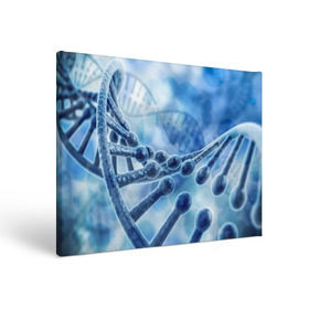 Холст прямоугольный с принтом Молекула ДНК в Курске, 100% ПВХ |  | dna | биохимия | внешность | ген | генетика | днк | молекула | наследственность | спираль | способности | структура | характер | черты