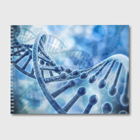 Альбом для рисования с принтом Молекула ДНК в Курске, 100% бумага
 | матовая бумага, плотность 200 мг. | dna | биохимия | внешность | ген | генетика | днк | молекула | наследственность | спираль | способности | структура | характер | черты