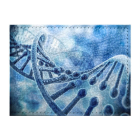 Обложка для студенческого билета с принтом Молекула ДНК в Курске, натуральная кожа | Размер: 11*8 см; Печать на всей внешней стороне | Тематика изображения на принте: dna | биохимия | внешность | ген | генетика | днк | молекула | наследственность | спираль | способности | структура | характер | черты