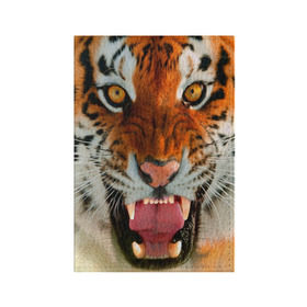 Обложка для паспорта матовая кожа с принтом Амурский тигр в Курске, натуральная матовая кожа | размер 19,3 х 13,7 см; прозрачные пластиковые крепления | Тематика изображения на принте: амур | голова | животные | кошка | оскал | тигр